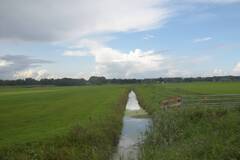 Afbeelding 23